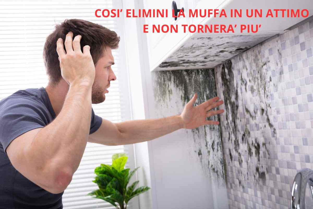 come eliminare muffa da casa prima dell'inverno