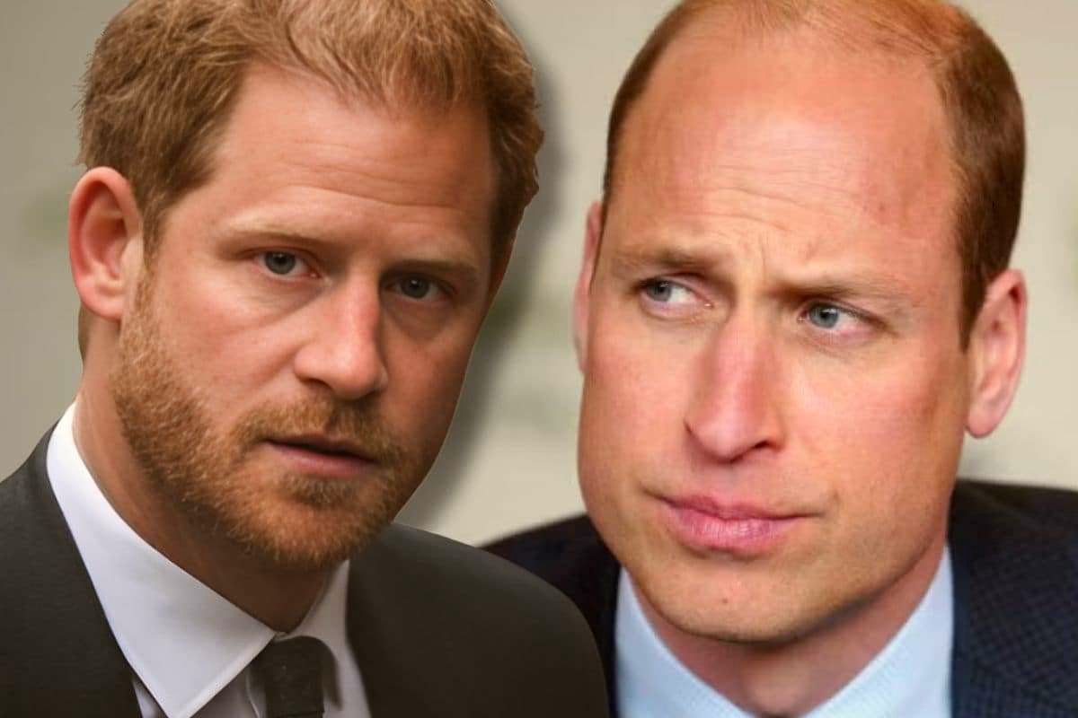 i principi harry e william